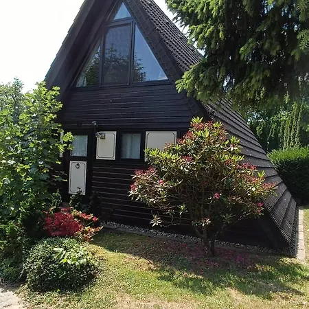 Eichhoernchennest *